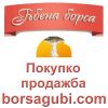 Гъби, гъбена борса, продажба на гъби: Borsagubi.com